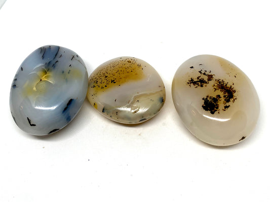 Dendritic agate palm stones